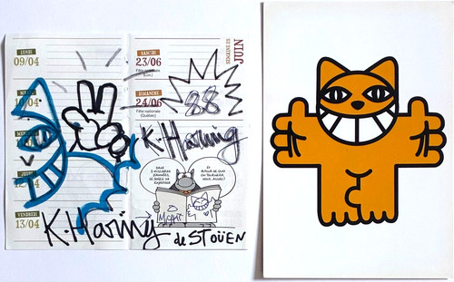 Chat thoma vuille - thoma,