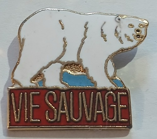 Pins ours vie sauvage - pins,