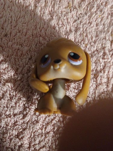 Littlest petshop chien dog - petshop,