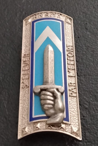 Military badge ecole nationale - badge,