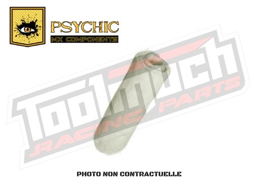 Laine roche vrac psychic 2 - roche,