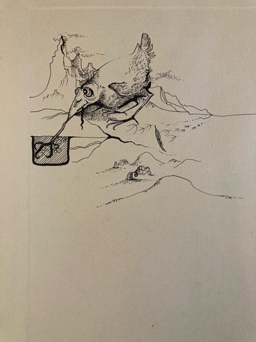 Belle gravure oiseau - oiseau, verre