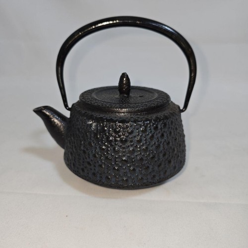 Théière japonaise fonte - théière,