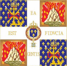 100 SUISSES,Drapeau,garde royale,royaliste,monarchie,Swiss guard flag,revolution