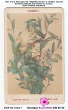 FLEURS & PAYS, BOTANIQUE