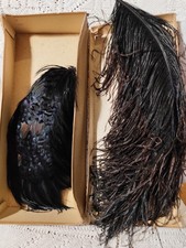 2 plumes à chapeaux anciennes dont une d'autruche en boite