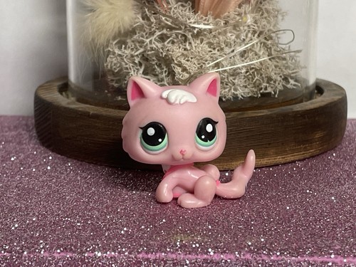 Petshop chaton snowshoe - chaton,