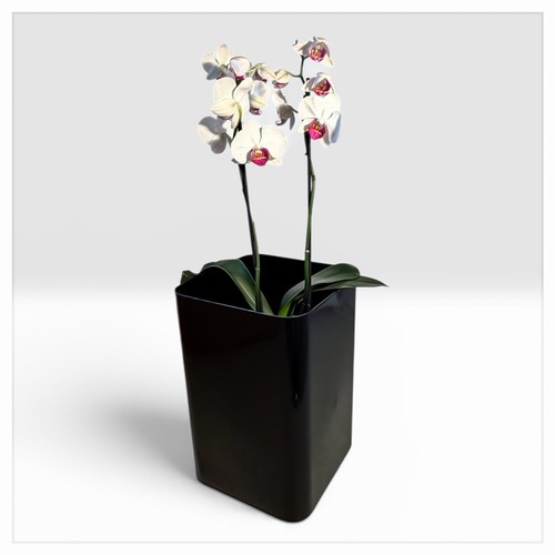 Porte vase carré vintage - porte-vase,