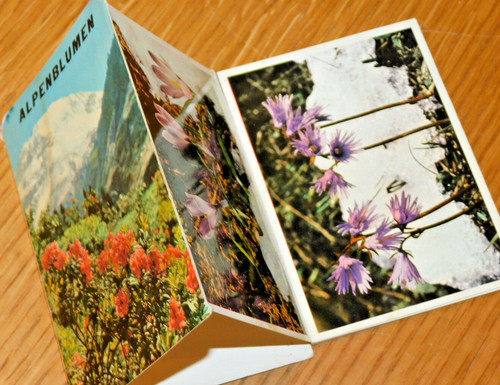 Liste photos carte des - des, fleurs