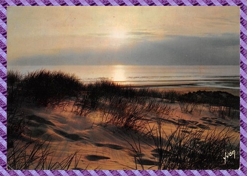 Carte postale stella plage - carte, stella-plage