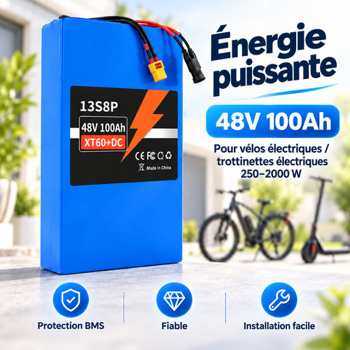 Batterie 48v 100ah ion bms - 48v,