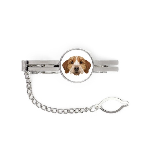Basset fauve bretagne - basset,