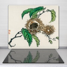 Planche De Cuisine En Verre