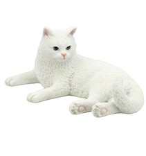 British Shorthair White Cat