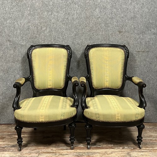 Magnifique paire fauteuils - magnifique,