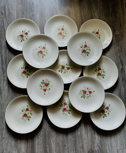Lot assiettes plates gien - 13,