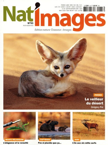 Nat images fennec le - 93,
