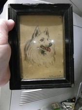 Dessin Animalier de cpar Vincent Anglade. sous verre et cadre noir un peu abimé