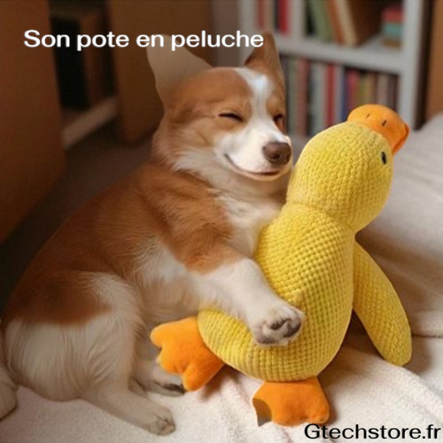 Jouet canard peluche pour - jouet,