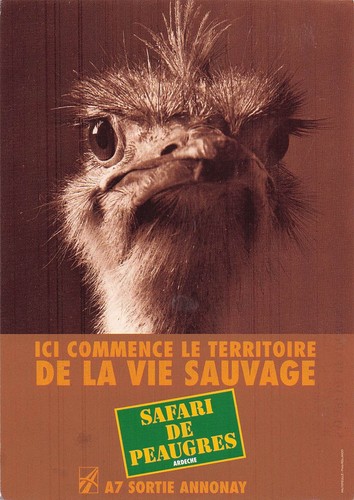 Peaugres safari - peaugres,