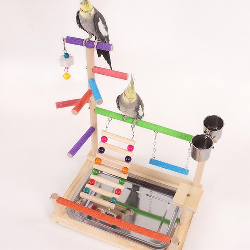 Jeux pour perroquets - jeux,