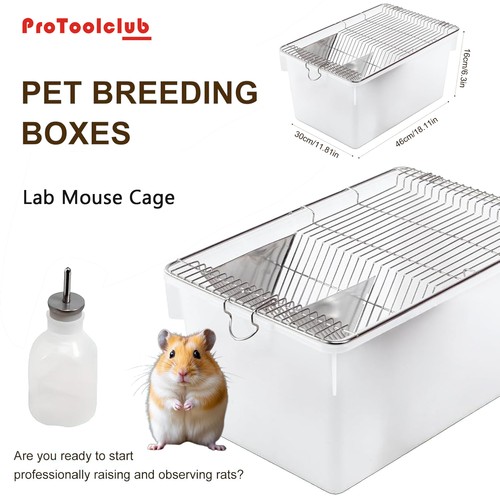 Lab mouse cage - mouse,