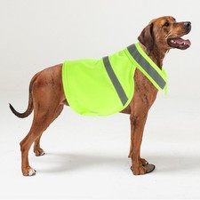  Gilet Pour Chien De Chasse