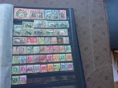 Ceylan 51 timbres - 51,