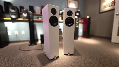 Totem acoustic forest way - acoustic,