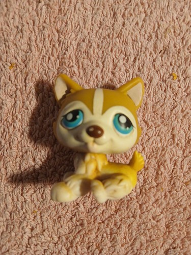 Lps 386 littlest petshop - #,