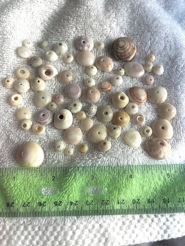 Oahu hawaii beach found - 60+,