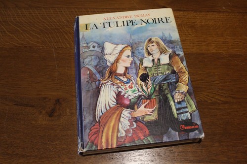 Tulipe noire par - tulipe, alexandre