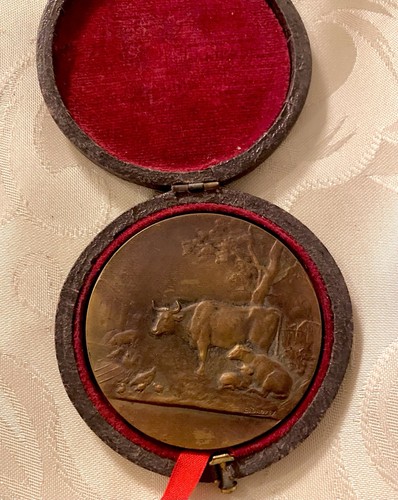 Médaille bronze emile dropsy - emile,