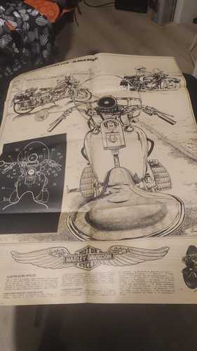 Poster harley davidson - harley,