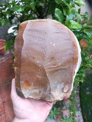Archéologie préhistoire - archéologie,