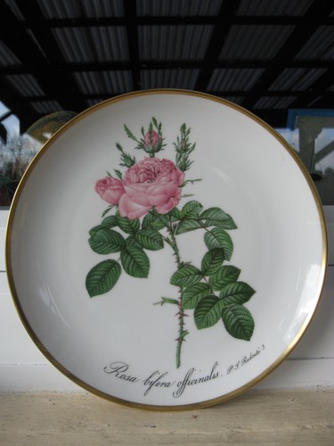 Assiette collection - assiette, de