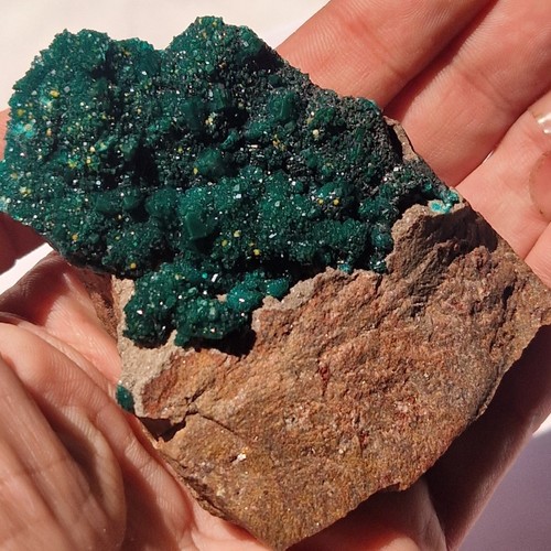 Dioptase with mimetite - with, trace