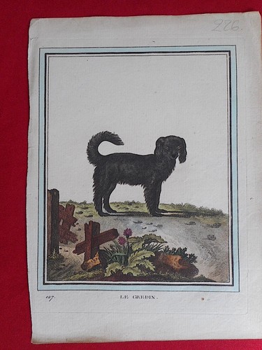 226 gravure xviiie - 226,