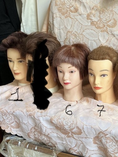 Tête mannequin étude - mannequin, d'étude