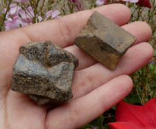 Lot 2 Staurolite, Finistère 3.5x3cm France minéraux collection pierre staurotide