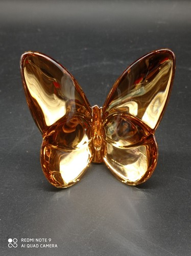 Superbe papillon porte bonheur - superbe,