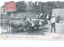 VEULES LES ROSES TOP CARTE