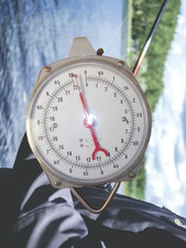 Grande Balance de type peson