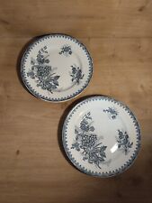 2 Assiettes Plates anciennes Terre de Fer Société Amandinoise Modèle Margot