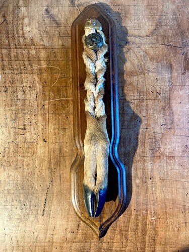 Patte cerf trophée - patte,