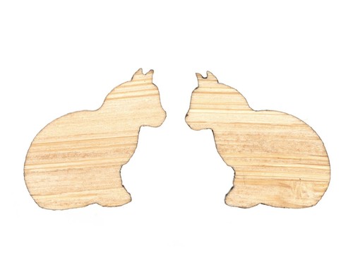 Chat boucles oreilles - chat, d’oreilles