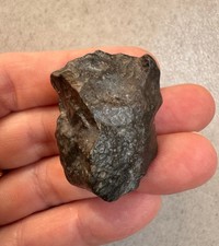 Meteorite chondrite R3-5