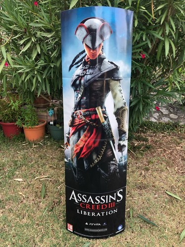 Plv pos totem assassin - totem, assassin's