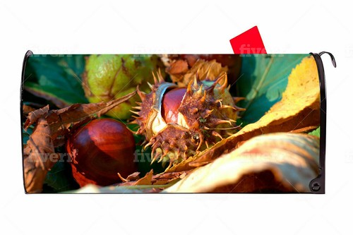 Autumn chestnut vinyl - autumn,