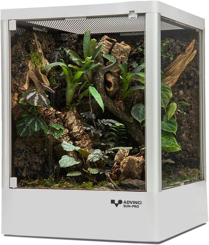 Reptile terrarium x12 x16 - reptile, 12"x12"x16"